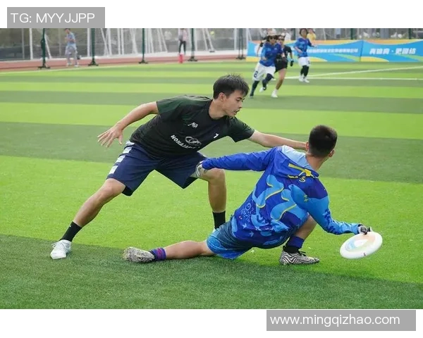 北京飞盘队实力对比深度解析与战术优势探讨