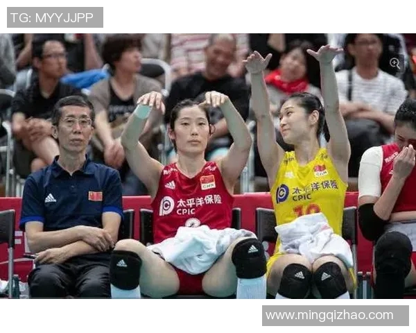 南京排球队团队协作引发热议球迷对战术配合和默契度的看法各异